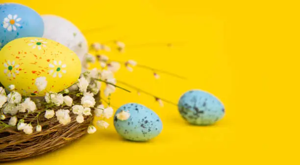 Photo of Easter Eggs in a Nest on Yellow Background