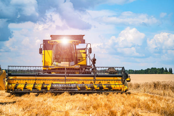 istock Combine harvester in action on wheat field 1209872172