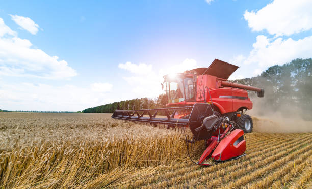istock Red grain harvesting combine in a sunny day. 1209872395
