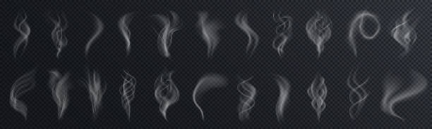 ilustrações de stock, clip art, desenhos animados e ícones de set of realistic transparent smoke or steam isolated in white and gray colors, fog and mist effect. collection of white smoke steam, waves from tea, coffee, hot food, cigarettes - stock vector - cigarette tobacco symbol three dimensional shape