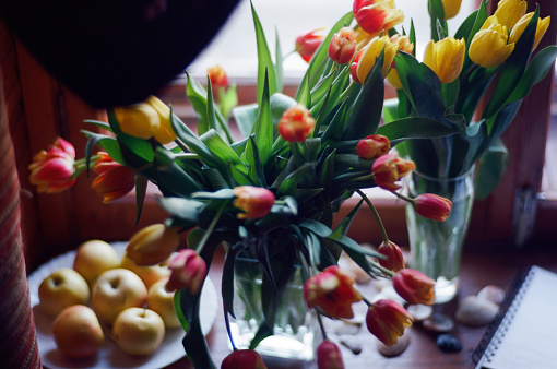 Red and yellow tulips in a vase on a windowsill.  Still life with flowers and apples.