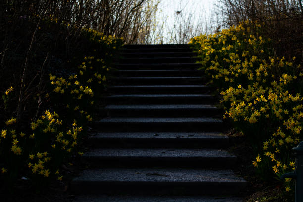 istock Black stair staircase black light sun flower yellow 1209876843