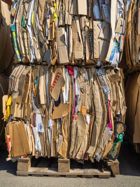 A large number of boxes with finely cut paper of different colors for recycling.