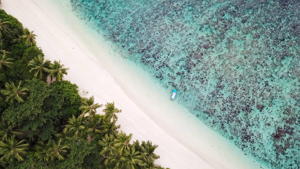 istock Seychelles Beach Lagoon from above 1209881247