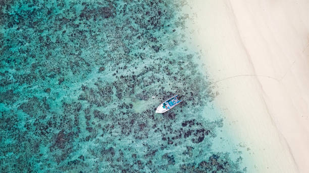 istock Seychelles Beach Lagoon from above 1209881250