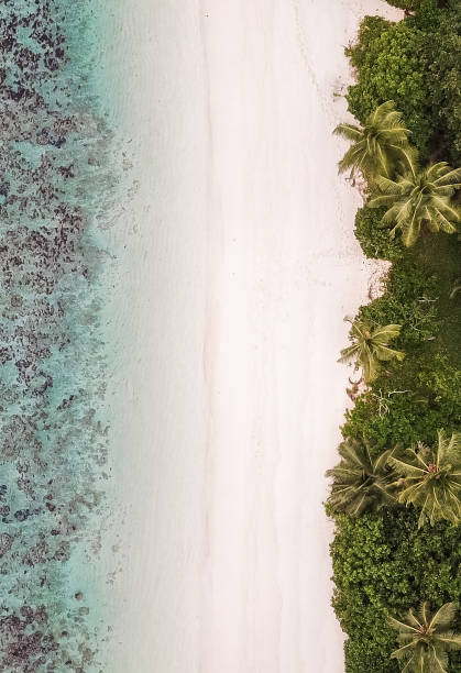 istock Seychelles Beach Lagoon from above 1209881281
