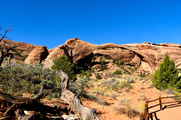 istock Landscape Arch at Arches National Park 1209882491