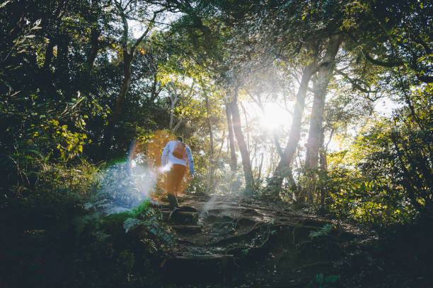 istock Man hiking in the mountain 1209884362