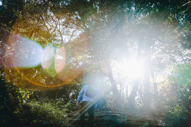 istock Man hiking in the mountain 1209884391