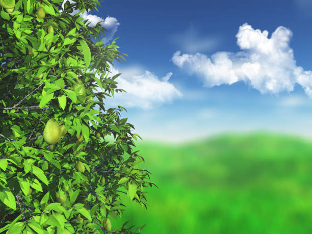 3D render of a pear tree against a defocussed grassy landscape