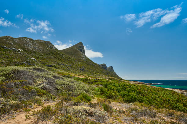 capa de boa esperança kanonkop - panoramic landscape south africa cape town - fotografias e filmes do acervo