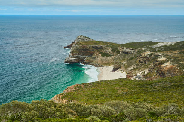 istock cape of good hope dias beach 1209885830
