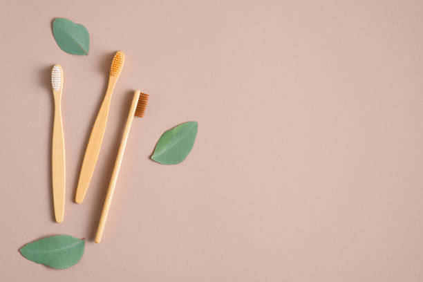 istock Biodegradable bamboo toothbrushes and green leaves on brown background. Top view with copy space. Zero waste, plastic free concept. Sustainable lifestyle. 1209886455