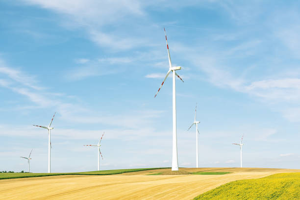 Ecological production of electricity using a wind farm. View of a wind power plant on a background of blue sky and fields with grain crops. The concept of environmental electricity production using a wind farm. landscape alternative energy scenics farm stock pictures, royalty-free photos & images