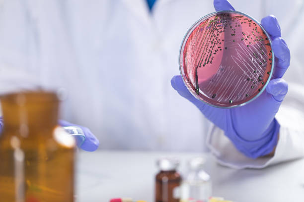 istock Analysis and study vaccine of Coronaviruses disease (CoV) in the laboratory. 1209887907