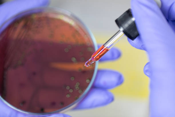 istock Analysis and study vaccine of Coronaviruses disease (CoV) in the laboratory. 1209887983