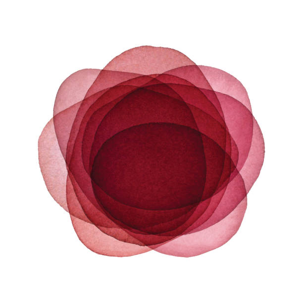 ilustrações de stock, clip art, desenhos animados e ícones de watercolor red abstract flower background - rose colored