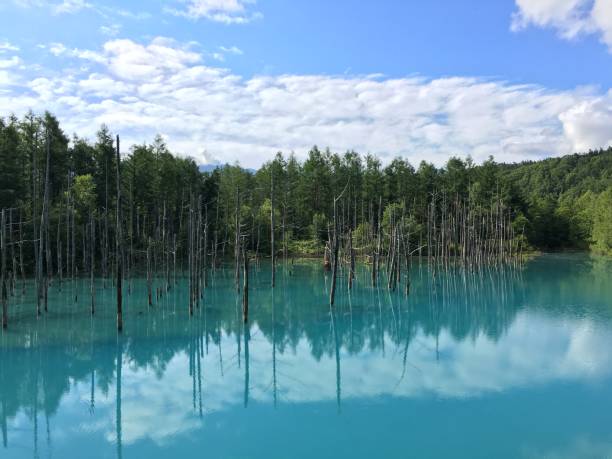 istock Blue Pond, Biei, Hokkaido, Japan! 1209888297