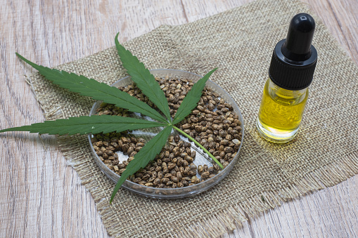 Hemp oil in a glass bottle Hemp seeds in a wooden spoon placed on the table. The concept of bringing hemp oil Extracted as a medicine By natural methods. The idea of planting seeds as seedlings.