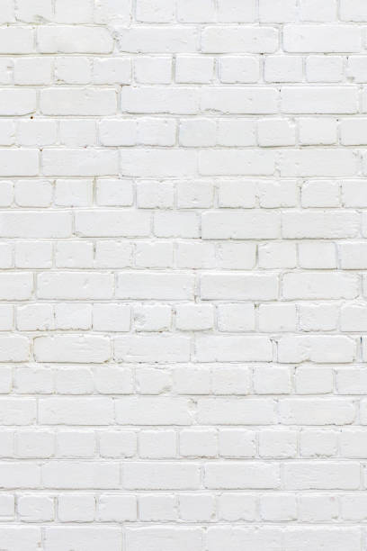 istock White color painted brick wall background, retro style 1209888989