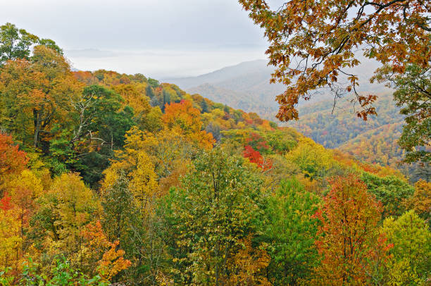 istock Autumn, Great Smoky Mountains 1209889826