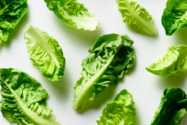istock Salad flat design. Creative pattern with romaine leaves arranged on white background. Healthy vegan food concept. Organic nutrition 1209889958