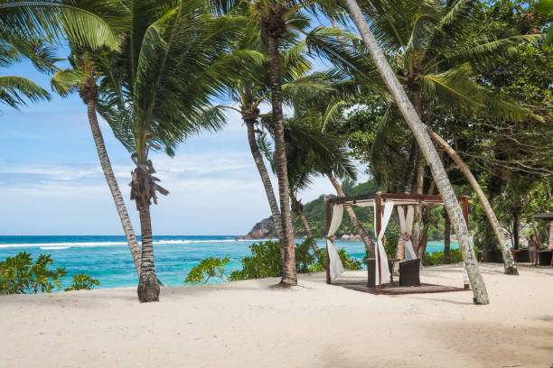 istock Wedding Pavillion by the beach 1209893355