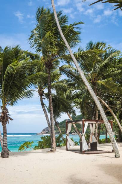 istock Wedding Pavillion by the beach 1209893374