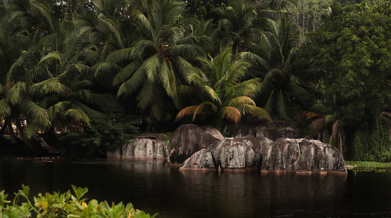 Moody light at Seychelles Nature Reserve Lake with Rocks and tropical foliage