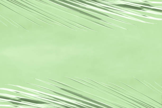 istock Abstract khaki background with gray branches of palm trees. 1209893629