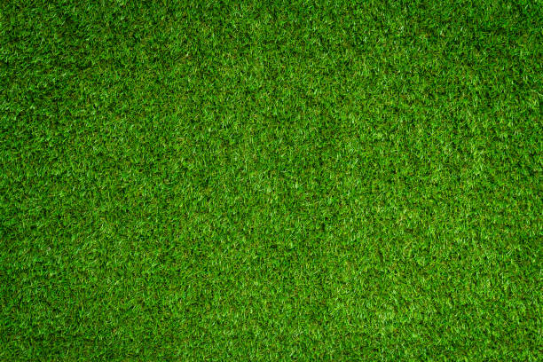 istock green grass texture with vintage filter can be use as background 1209894078