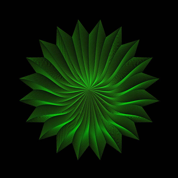 Abstract Green Flower Isolated On Black Background