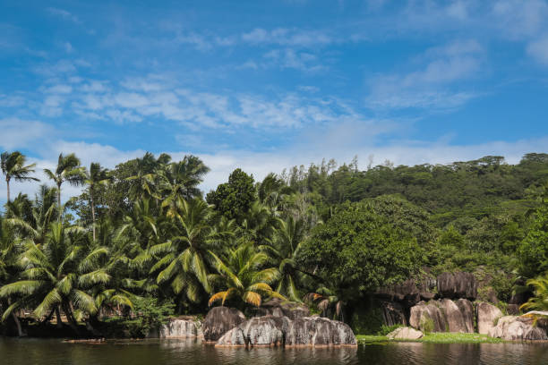 Seychelles Nature Reserve Lake with Rocks and tropical foliage