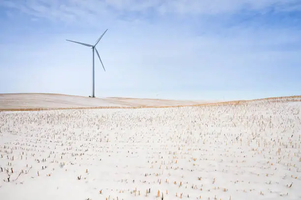 Winter view of wind turbines in an agricultural field near the town of Rosebud, Alberta, Canada