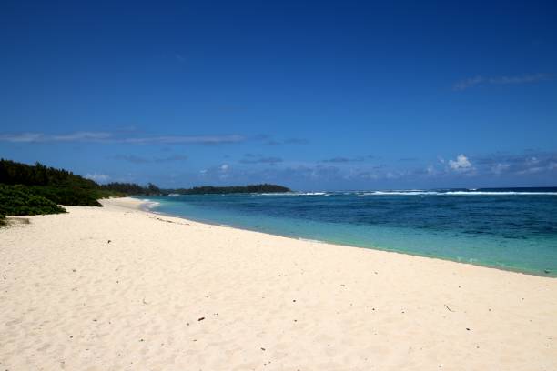 istock La Cambuse Public Beach, Mauritius, Indian Ocean, Africa 1209899084