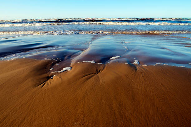 istock Baltic Sea coast, waves and yellow sand 1209900187