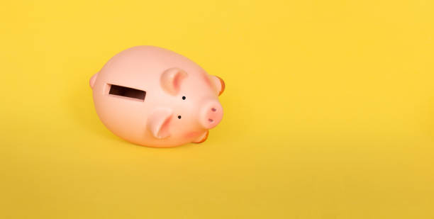 istock Piggy bank lying 1209900573