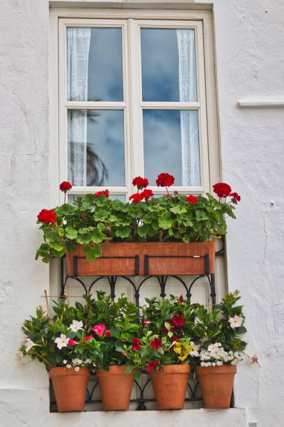 istock Traditional Andalusian window decoration with flowers 1209901278