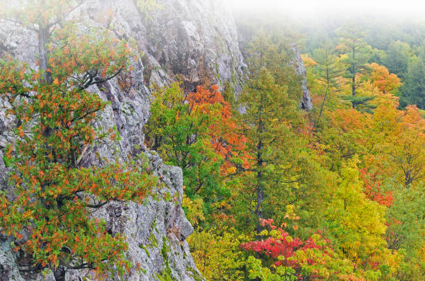 istock Autumn, Forest at Lake of the Clouds 1209904208