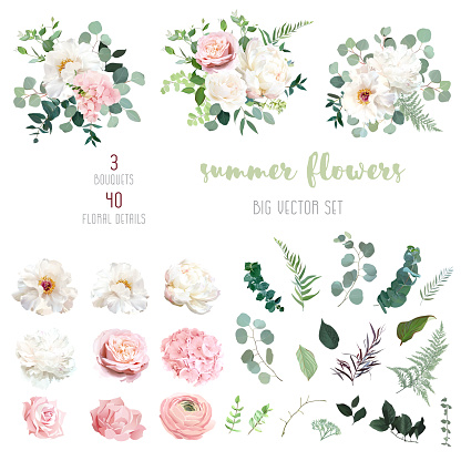 Blush pink rose and sage greenery, ivory peony, hydrangea, ranunculus flowers, eucalyptus big vector collection. Floral pastel watercolor style wedding bouquets. All elements are isolated and editable