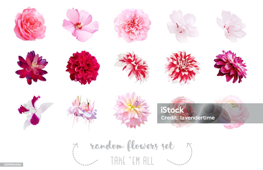 Ilustración de Estilo De Acuarela Varias Flores Conjunto y más Vectores Libres de Derechos de Flor - Flor, Rosa - Color, Rosa - Flor - iStock Ilustración de Estilo De Acuarela Varias Flores Conjunto y más Vectores Libres de Derechos de Flor - Flor, Rosa - Color, Rosa - Flor - iStock