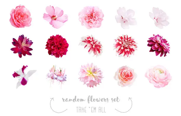 Vector illustration of Watercolor style various flowers set.