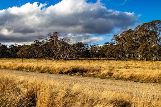 istock Dargo High plains road by the Alpine national park 1209906373