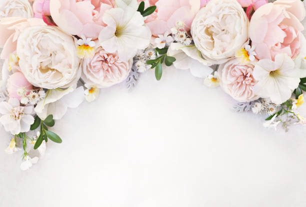 istock Delicate blossoming roses and blooming flowers festive background 1209908644