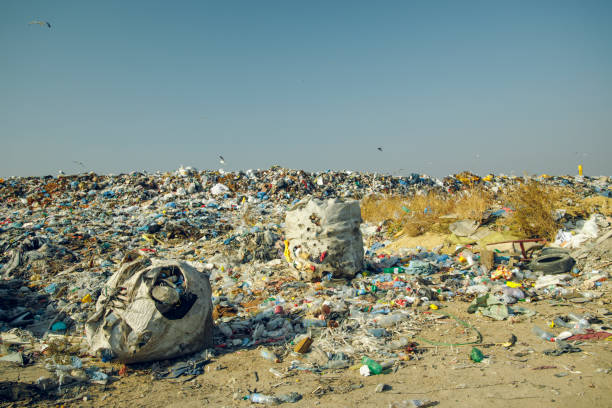 istock dump garbage environment global pollution and ecology disaster reason of human activity 1209911248