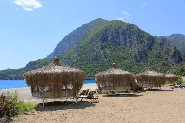 istock summer thatched roof gazebo on sea 1209913973