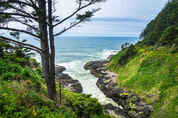 Devil's churn overlook, Cape Perpetua Scenic Area, Yachats, Oregon Coast, USA.
