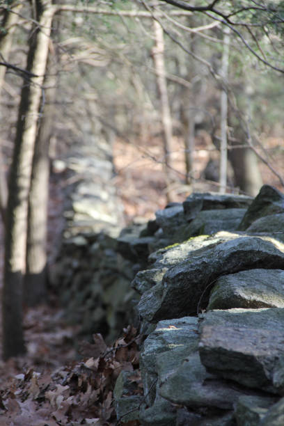 istock Leaves piled up next to an old stone wall in Connecticut 1209915568