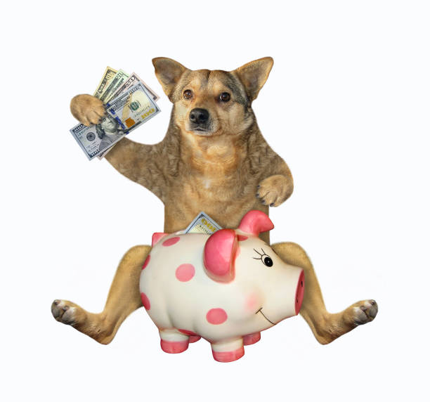 istock Dog sitting with piggy bank 1209917253