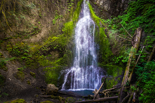 Marymere Falls, near Lake Crescent, Olympic National Park or Peninsula, Washington state, USA.